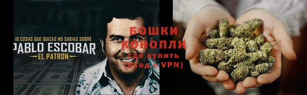 шишки Алзамай