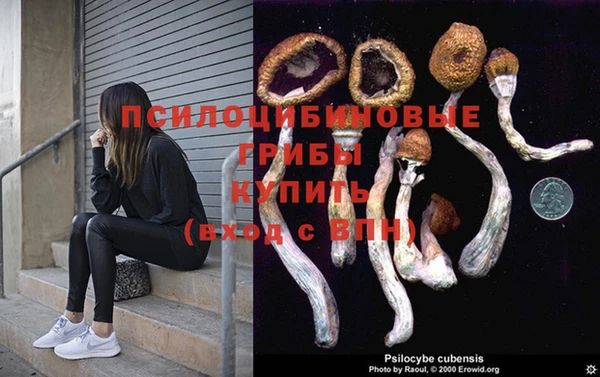 шишки Алзамай