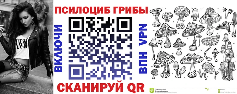 дарнет шоп  Киржач  mega ссылка  Галлюциногенные грибы ЛСД 